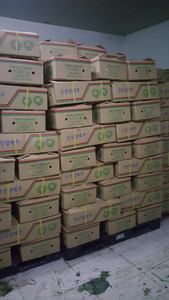 Wholesale <b>Fresh</b> <b>Cabbage</b>/ Green <b>Cabbage</b> with Large Quantity - Product Image 3