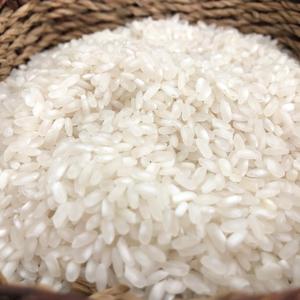 ข้าวกลาง,ข้าวราคาถูกสำหรับการขาย - Product Image 1