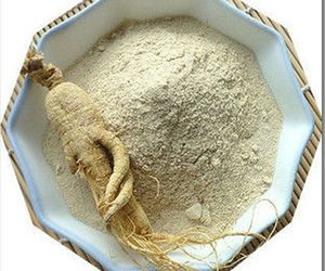 Poudre d'extrait de racine de ginseng jaune poudre de ginseng vacances - Product Image 5