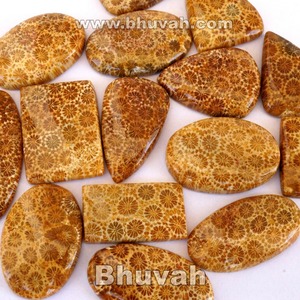 Venta al por mayor lote de buena calidad flor Coral Natural piedra preciosa suelta cabujón para la fabricación de joyas anillo colgante collar pulsera - Product Image 4