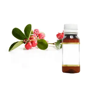 Private Label OEM / ODM Supply Top Quality Wintergreen Oil helps fights and prevent infections at Best Price from India