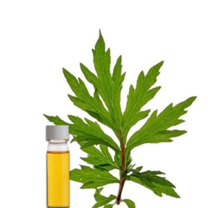 น้ำมันหอมระเหยจากโกฐจุฬาลัมพาบริสุทธิ์ 100% เกรดบำบัด ขายส่งจำนวนมาก ได้รับการรับรองมาตรฐาน GMP ประโยชน์ต่อผิวพรรณและการบำบัดด้วยกลิ่นหอม รับผลิตแบบ OEM - Product Image 2