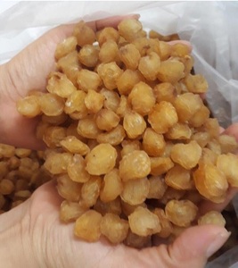 Fruits secs au Vietnam-fruits longs - Product Image 3