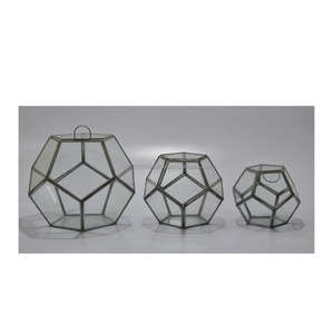 Pot de fleurs géométrique en verre transparent avec cadre noir, décoration classique miniature pour jardin féerique, rebord de fenêtre, fleur artificielle - Product Image 2