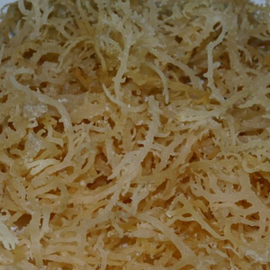 Dry EUCHEUMA COTTONII/Sargassum Seaweed High Quality - Ms: Holiday - Product Image 2