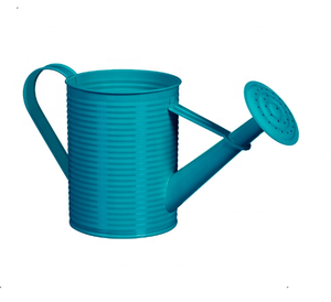 Creativo bajo MOQ hecho a mano de metal galvanizado regadera mayorista proveedor venta directa de fábrica - Product Image 1