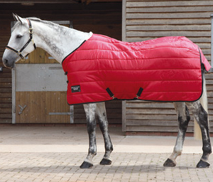 Manta Aislante para Caballos, para Invierno, 300gsm 400gsm, Transpirable, para Interiores - Product Image 4