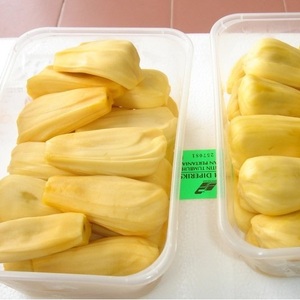 MEJOR PRECIO JACKFRUIT CONGELADO IQF - PROVEEDOR DE FRUTAS CONGELADAS - FRUTAS TROPICALES DE VIETNAM - Product Image 3