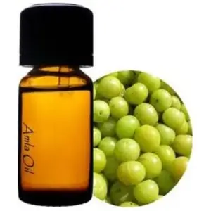 MSDS Certified 100% Amla Essential Oil Pure and Natural Cold Pressed Superior OBM (original Brand Manufacturing)