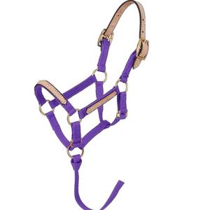 Purple Leather Overlay Miniature Nylon Horse <b>Halter</b> PP Western and English Saddle Accessory with Rope for English Riding - Product Image 1