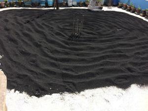 Poudre de graines de cumin noir séchées brutes de qualité supérieure Bangladesh récolte 2021 - Product Image 4