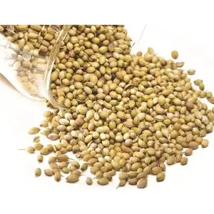 インドからのバルクサプライヤーのためのプレミアムコリアンダー最高品質の卸売純粋で有機的なコリアンダー種子