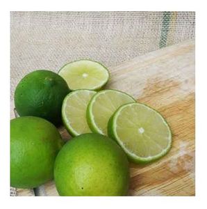 CITRON LIME SANS GRAINES DU VIET NAM DE BONNE QUALITÉ MEILLEUR PRIX POUR LA VENTE EN GROS - Product Image 3