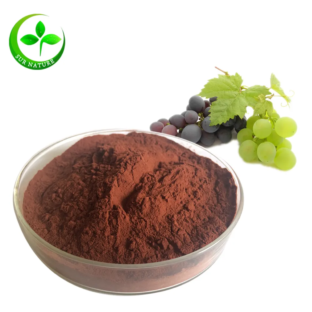 Grape seed extract supplier provide grape seed extract powder OPC 98%