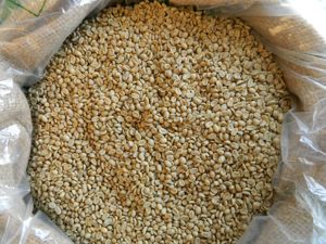 Arabica Green Coffee <b>Beans</b> Premium Vietnamese with 98% Maturity Honey Process New Crop - Product Image 3