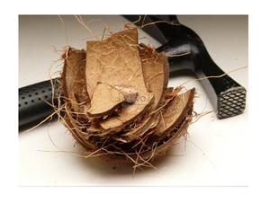 กะลาเวียดนามราคาถูกมาก - Product Image 5