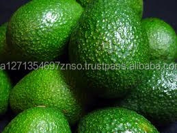 Aguacate Hass de Sudáfrica - Variedad Fuerte Fresca de Primera Calidad, Reserva tu Pedido Ahora - Product Image 4