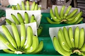 BANANE DU VIET NAM CONGELÉE EN GROS - Product Image 3