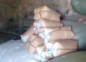 เส้นใย KAPOK ธรรมชาติ99ข้อมูลทองคำ - Product Image 5