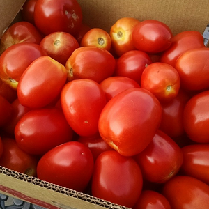 Salsa de tomate al por mayor aseptic100 % pasta de tomate en conserva - Product Image 2