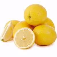 Fresh Lemon Suppliers from Egypt: Farm, Best Price