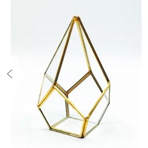 Terrarium Edelstahl und Klarglas Sukkulente Luft pflanzen Moderne Pentagon Geometric Home Office Tischplatte 8x8x12 Zoll - Product Image 1