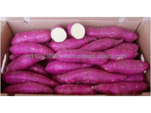 Patate douce japonais en 2020 - Product Image 6