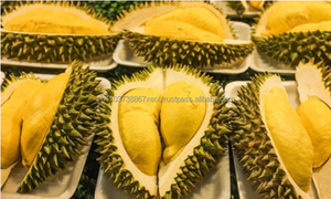 DURIAN FRESCO / ALTA CALIDAD / FRUTA VIET DELTA VIETNAM / MS. Holiday 2kg 25-35cm - Product Image 2