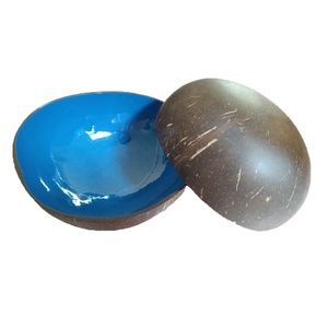 Tazón artesanal de cáscara de coco laca natural, laca de color con revestimiento, tazón de cáscara de coco de diseño único - Product Image 3