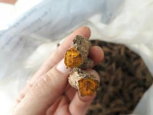 Rebanadas de cúrcuma secas, vegetales secos de Vietnam - Product Image 5