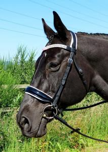 Briglia in pelle di cavallo OEM bianco Diamante ingioiellato personalizzato bianco leggero Softy imbottito nasello e copricapo a prezzo di fabbrica - Product Image 5