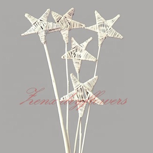 Bâton de rotin fait à la main écologique de haute qualité Lata Bush décoratif étoile de Noël fleurs séchées intérieur/extérieur usine directe - Product Image 2