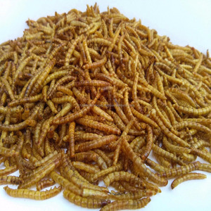Bolsa de gusano amarillo, 100g, 200g - Product Image 4