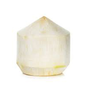 ราคาส่งมะพร้าวเพชร / มะพร้าวอ่อนสด - Product Image 3