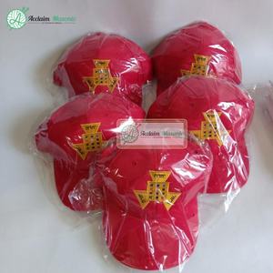 Grand Lodge RAM Royal Arch Collar de cadena Pasado Sumo Sacerdote Emblema PHP - Product Image 6