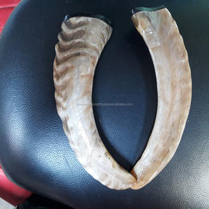 Corne de buffle Couteau Poignées - Product Image 5