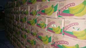 HOT SALE CAVENDISH VARIETY/ <b>FRESH</b> <b>BANANA</b> VIETNAM/ MS HOLIDAY - Product Image 2