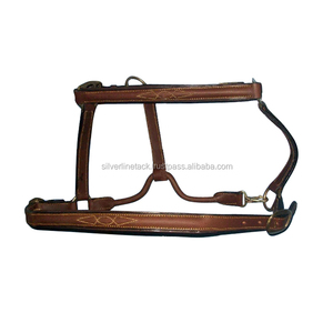 Halter brodé en cuir équestre - Product Image 3
