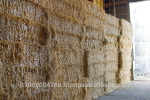 Granulés de paille jaunâtre Halmeko pour litière de chevaux, taille 8 mm, teneur en humidité <13% - Product Image 3