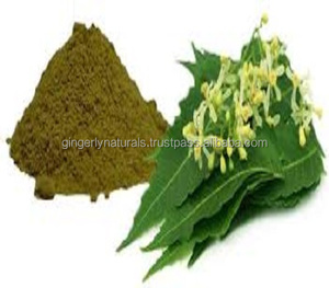 Fournisseur en vrac de poudre de neem d'Inde - Product Image 2