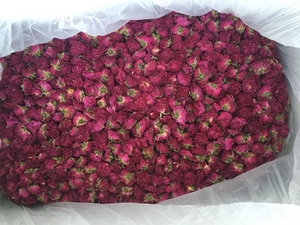 Capullos de rosa de primera calidad para botella de aceite - Product Image 3