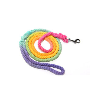 Corde Laisse Chien Nylon Corde Formation Slip Laisse Chien Laisse Personnalisé Chiens Laisses Imprimé Logo Animaux Accessoires Fournisseurs - Product Image 5