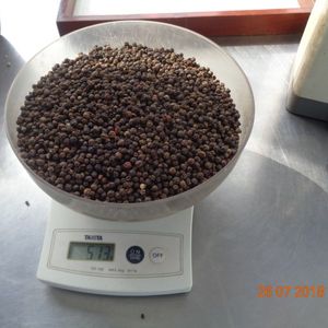 พริกไทยดำเวียดนามขายดี 550GL 580GL ขนาด 5 มม. คุณภาพดี ASTA พริกไทยแห้งทั้งเม็ด ขายส่งจำนวนมาก ราคาโรงงาน - Product Image 3