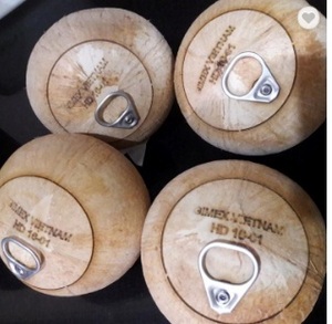 Dừa Tươi trẻ từ Việt Nam giá tốt nhất và chất lượng với hàm lượng bột giấy cao - Product Image 4