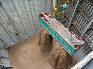 เศษไม้สนสำหรับทำกระดาษแบบแท่ง-ติดต่อเราที่ WhatsApp + 84 909 055 651 - Product Image 4