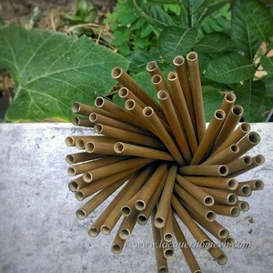 Pajitas comestibles biobasadas de bambú, 20cm, 100% natural - Product Image 3