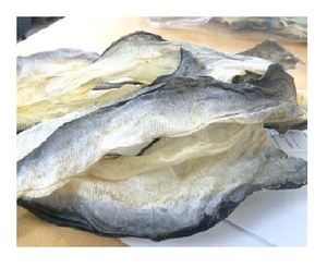 PIEL DE BAGAR DE BUENA CALIDAD DE VIETNAM Ms Holiday - Product Image 6