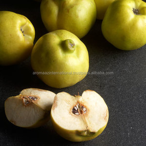 Fabricants indiens ou fournisseurs d'huile de graines de pomme - Product Image 3