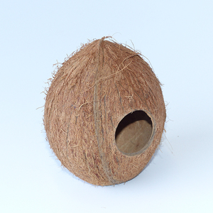 Nido de Pájaro 100% Natural y Ecológico de Cáscara de Coco con Precios Económicos al por Mayor - Product Image 1