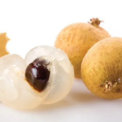 Longan Honey / Longan Thailand / Organic dried longan fruit